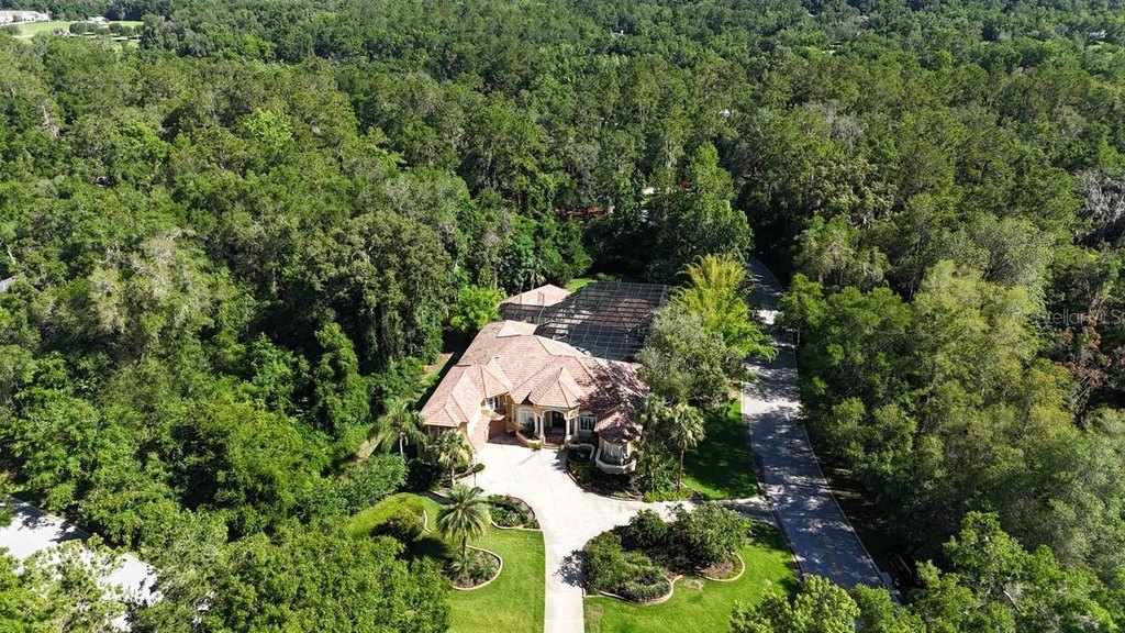 OCALA, Florida, 34480, United States, 4 Bedrooms Bedrooms, ,4 BathroomsBathrooms,Residential,Forsale,1886236