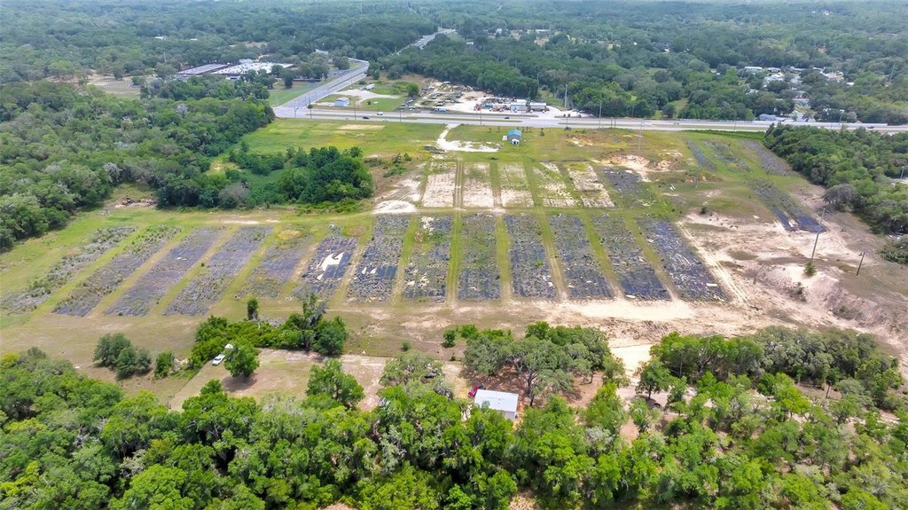 HERNANDO, Florida, 34442, United States, ,Land,Forsale,1905407