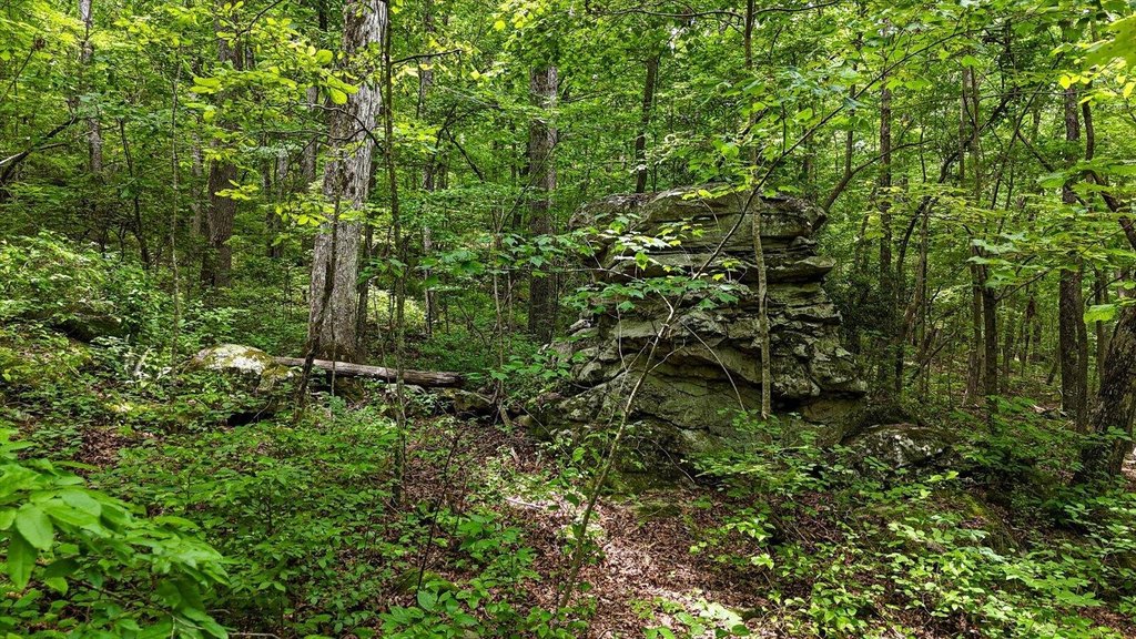Menlo, Georgia, 30731, United States, ,Land,Forsale,1922179