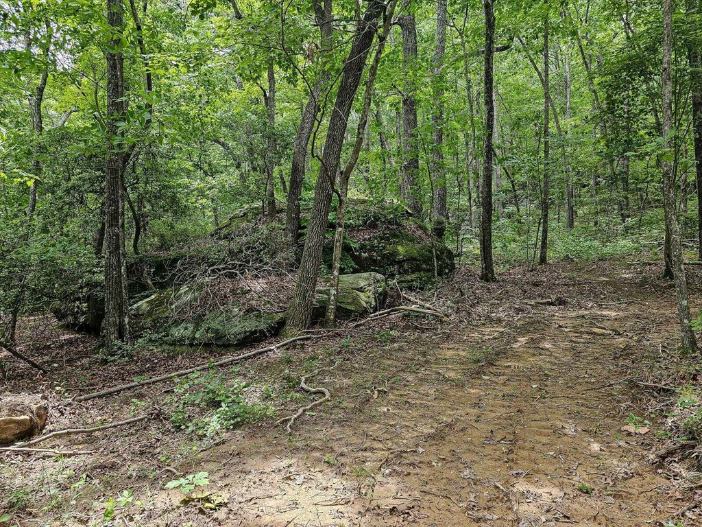 Menlo, Georgia, 30731, United States, ,Land,Forsale,1922179
