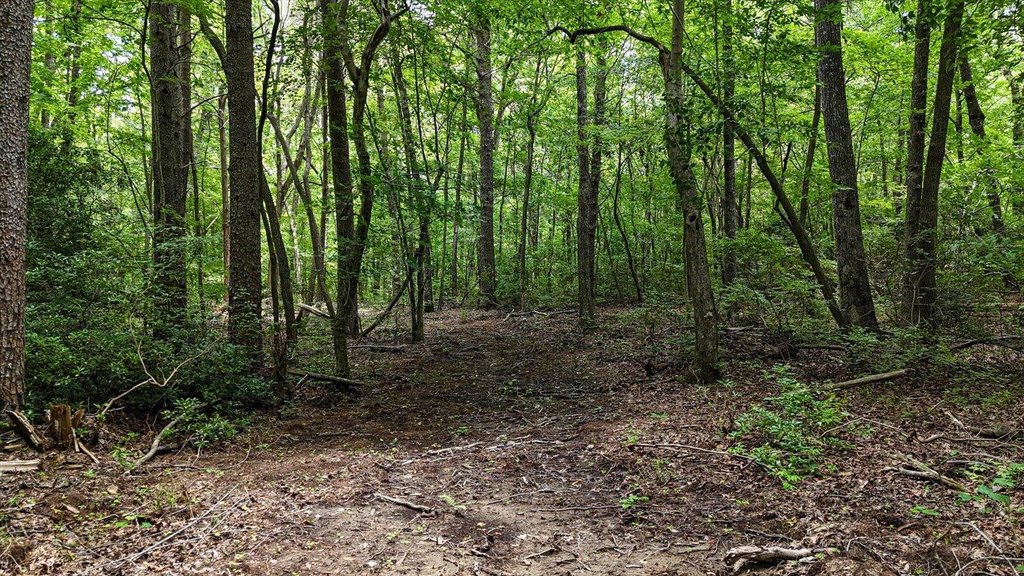 Menlo, Georgia, 30731, United States, ,Land,Forsale,1922179
