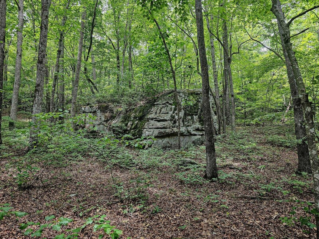 Menlo, Georgia, 30731, United States, ,Land,Forsale,1922179