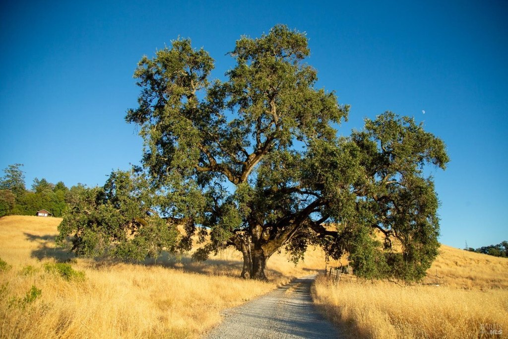 Cloverdale, California, 95425, United States, ,Land,Forsale,1929197