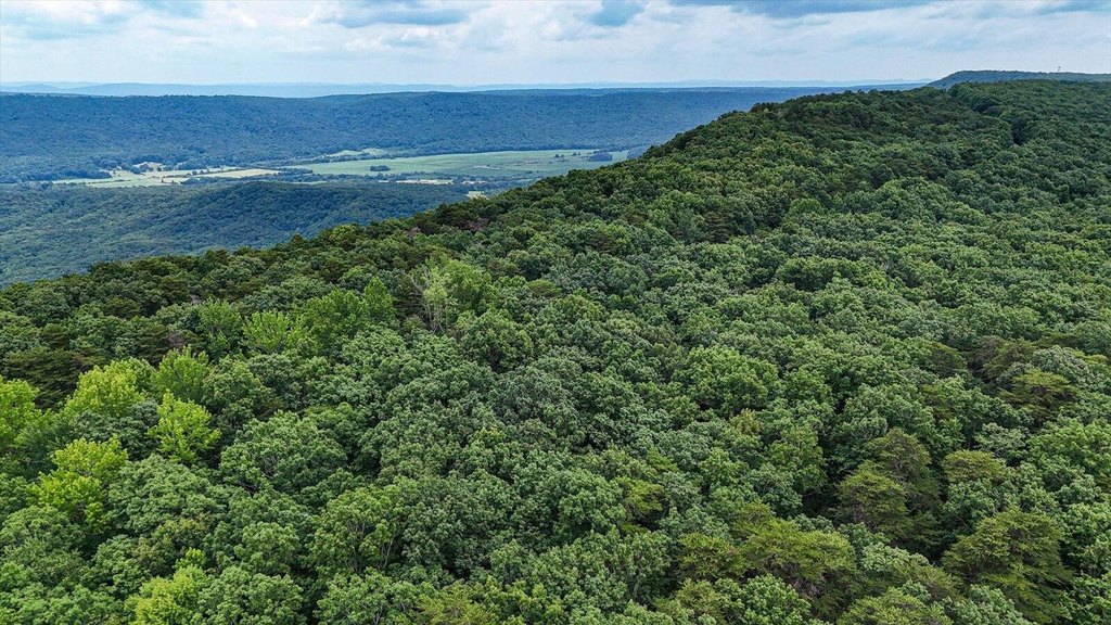 Menlo, Georgia, 30731, United States, ,Land,Forsale,1922179