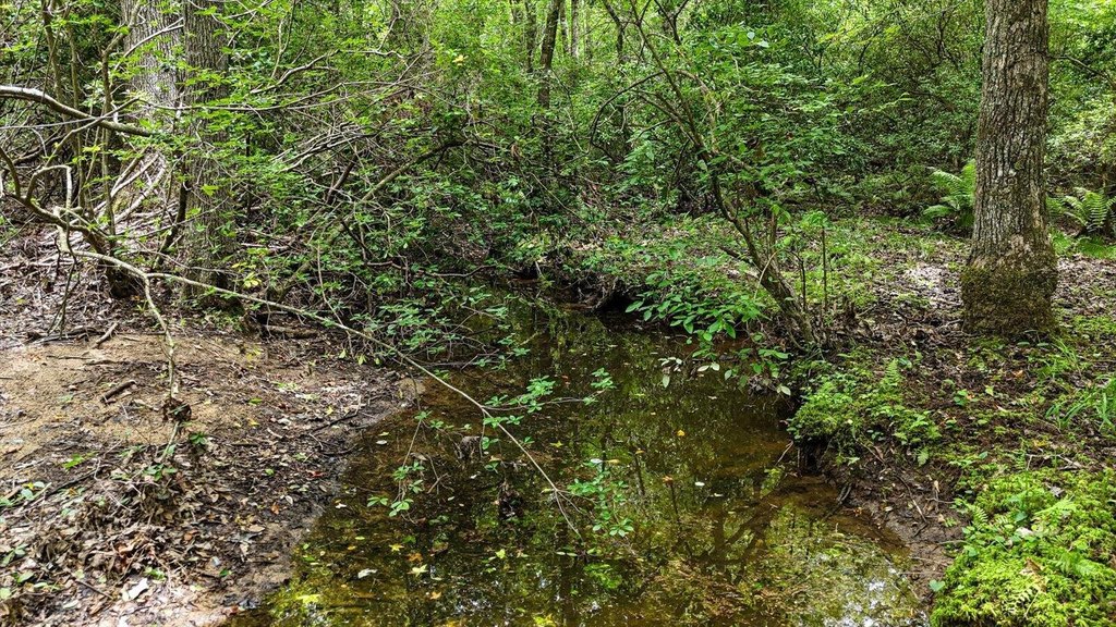Menlo, Georgia, 30731, United States, ,Land,Forsale,1922179