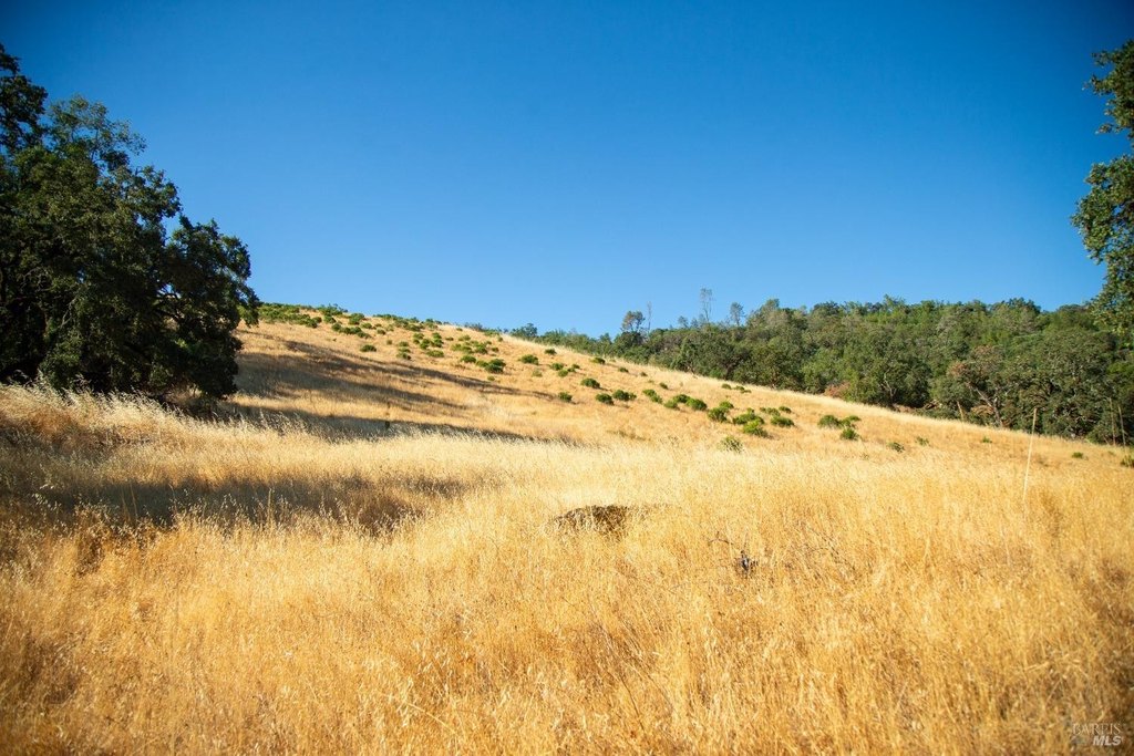 Cloverdale, California, 95425, United States, ,Land,Forsale,1929197