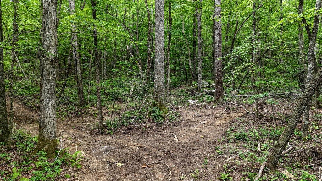 Menlo, Georgia, 30731, United States, ,Land,Forsale,1922179
