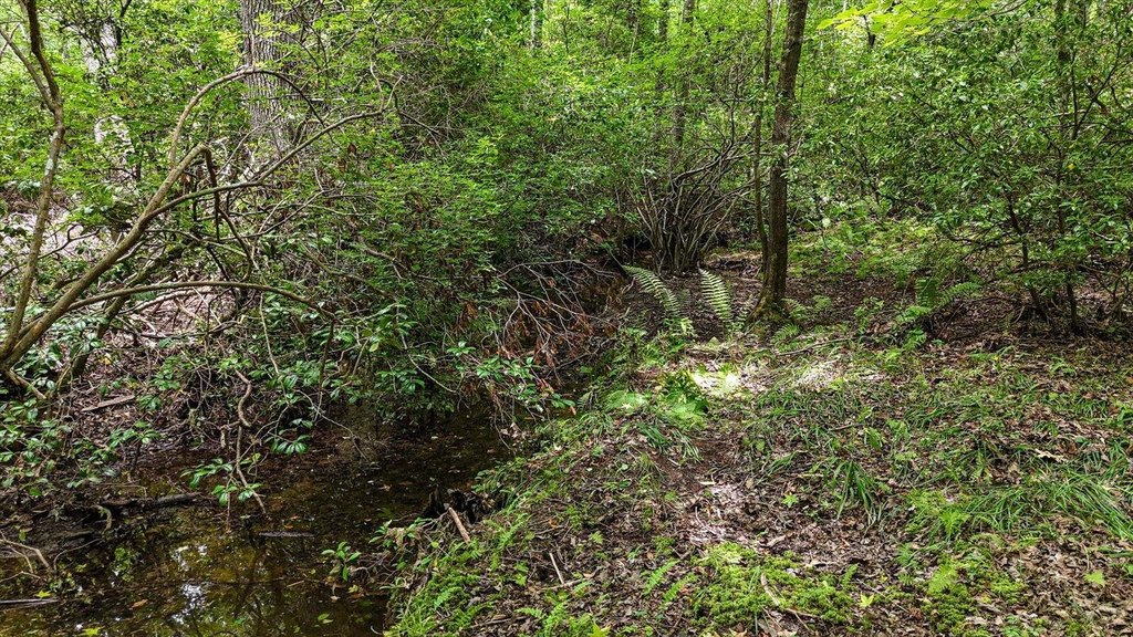 Menlo, Georgia, 30731, United States, ,Land,Forsale,1922179