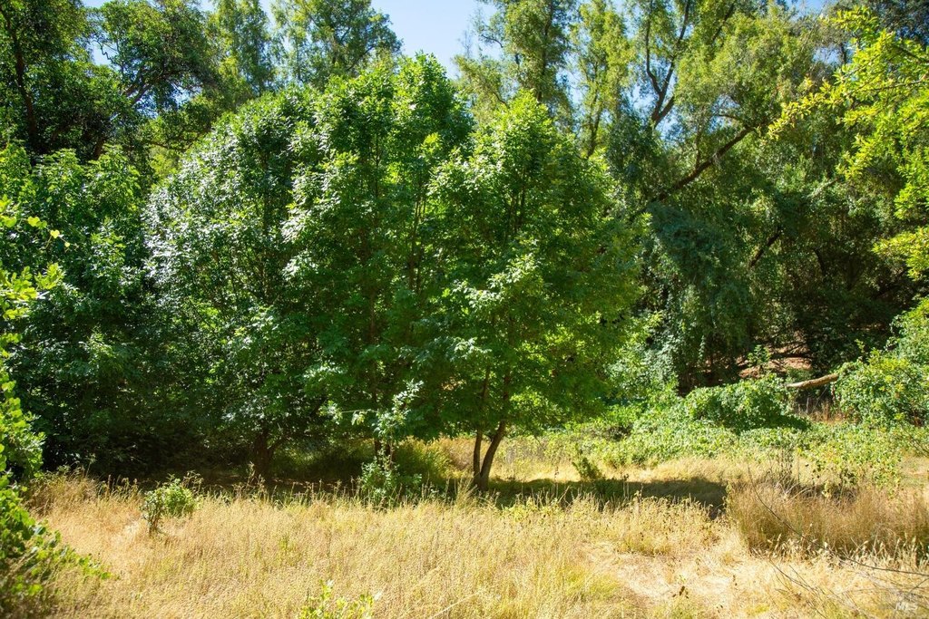 Cloverdale, California, 95425, United States, ,Land,Forsale,1929197