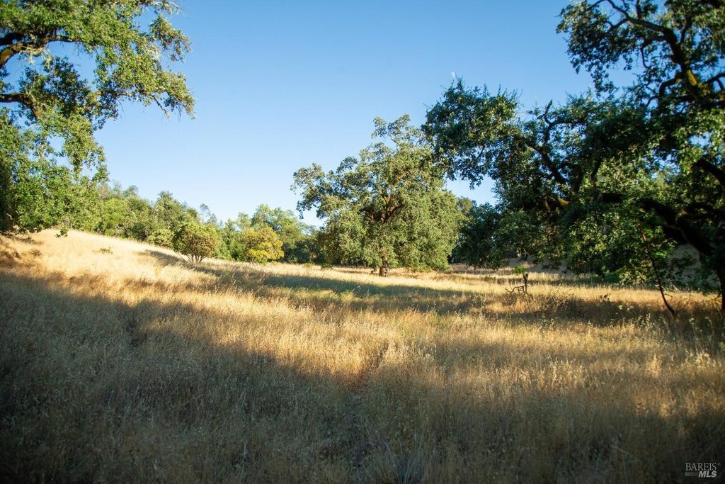 Cloverdale, California, 95425, United States, ,Land,Forsale,1929197