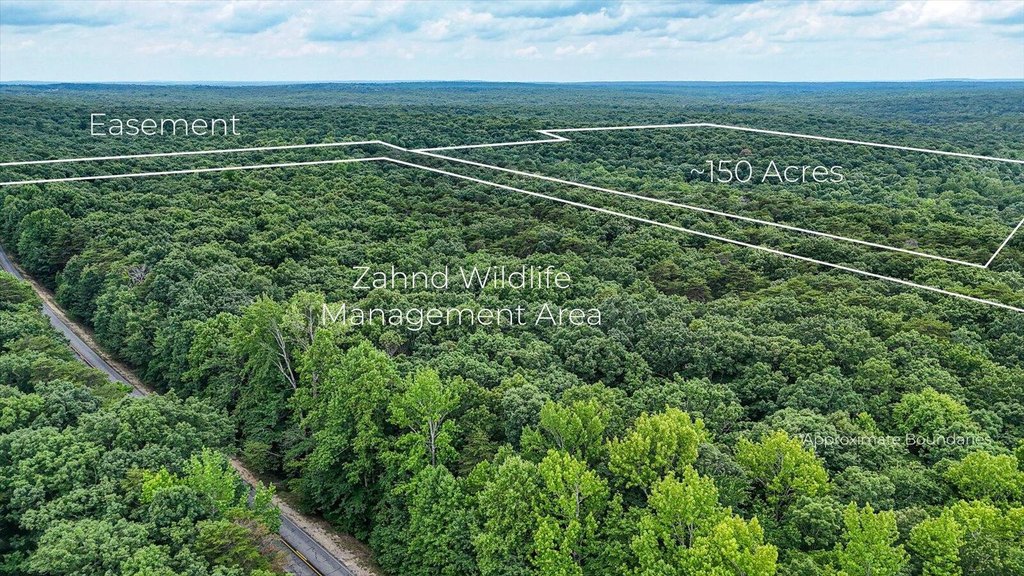 Menlo, Georgia, 30731, United States, ,Land,Forsale,1922179