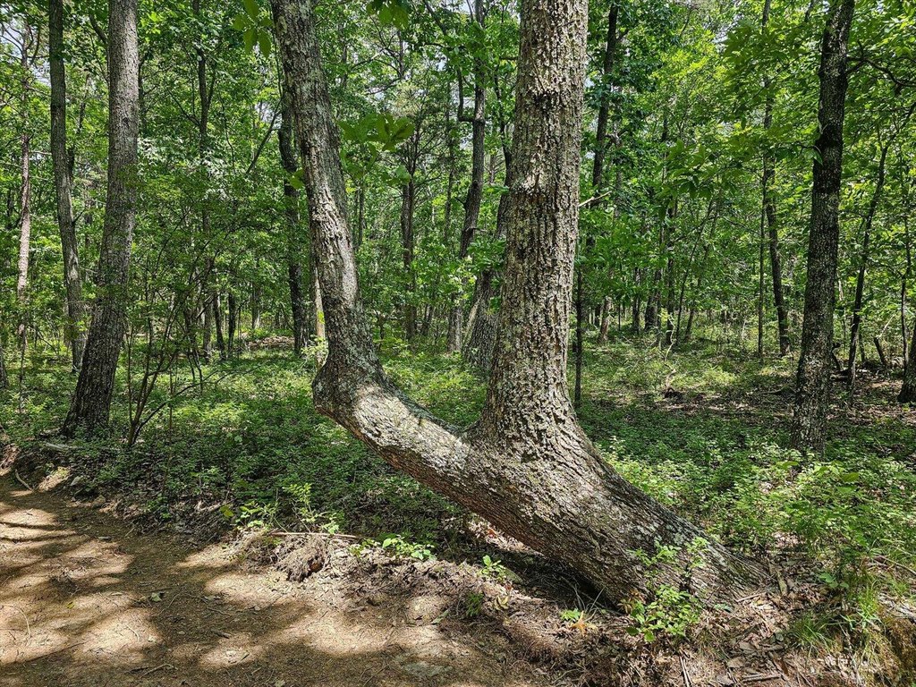 Menlo, Georgia, 30731, United States, ,Land,Forsale,1922179