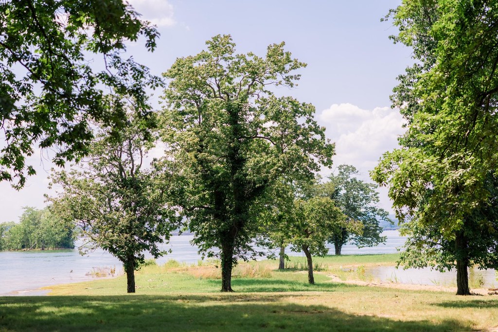 Jefferson City, Tennessee, 37760, United States, ,Land,Forsale,1884046