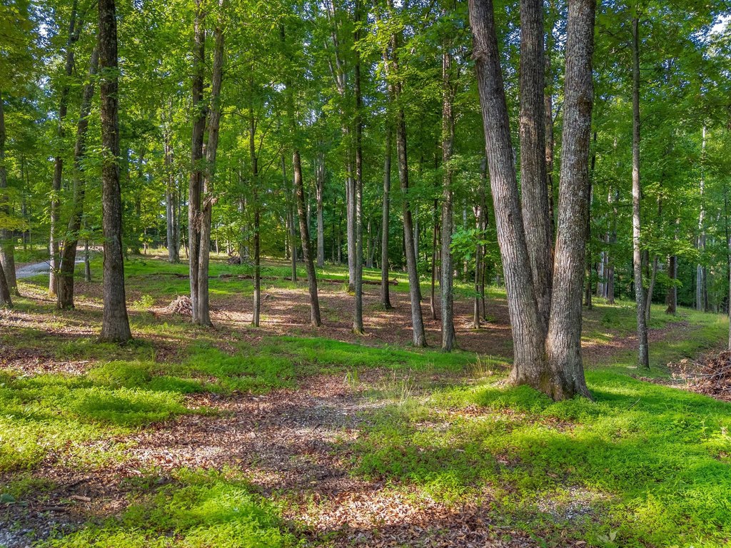 Jefferson City, Tennessee, 37760, United States, ,Land,Forsale,1884046