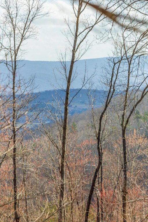 Pikeville, Tennessee, 37367, United States, ,Land,Forsale,1922193