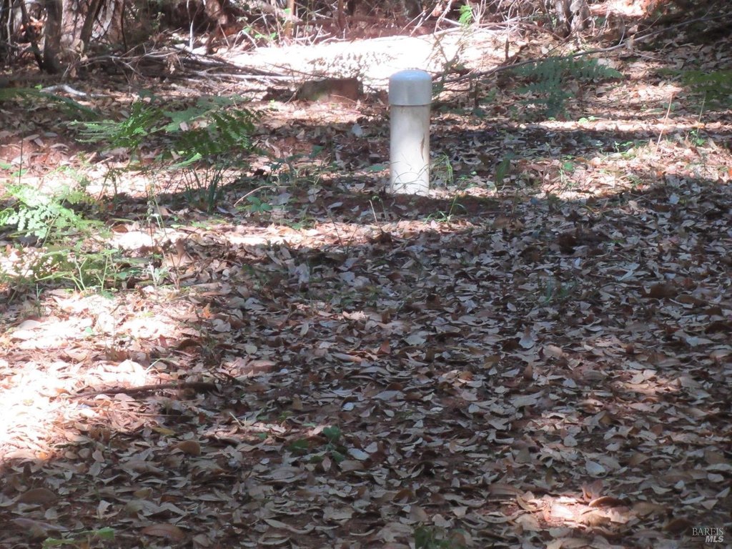 Willits, California, 95490, United States, ,Land,Forsale,1968155