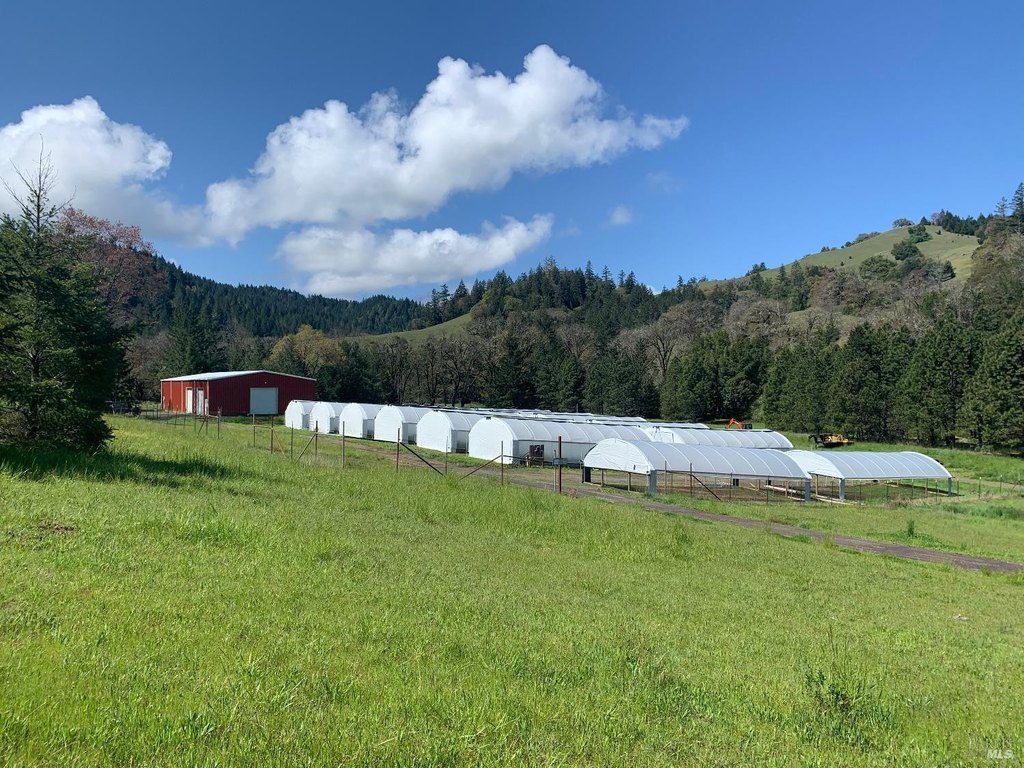 Willits, California, 95490, United States, 1 Bedroom Bedrooms, ,1 BathroomBathrooms,Residential,Forsale,1918960