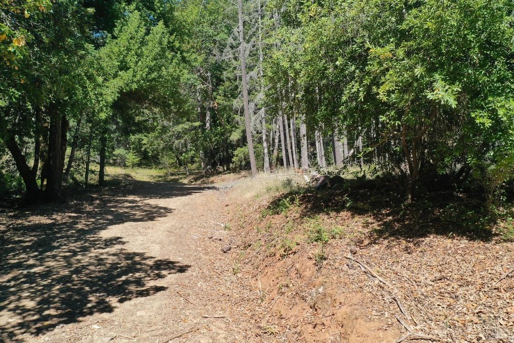 Willits, California, 95490, United States, ,Land,Forsale,1968155