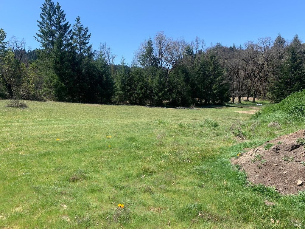 Willits, California, 95490, United States, 1 Bedroom Bedrooms, ,1 BathroomBathrooms,Residential,Forsale,1918960