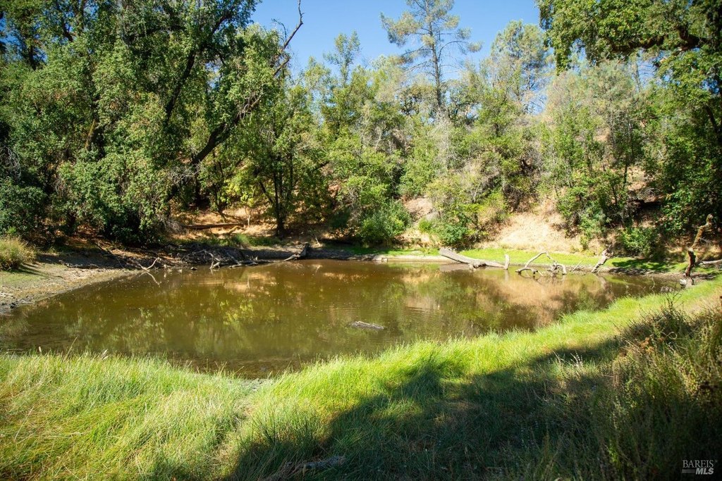 Cloverdale, California, 95425, United States, ,Land,Forsale,1929197