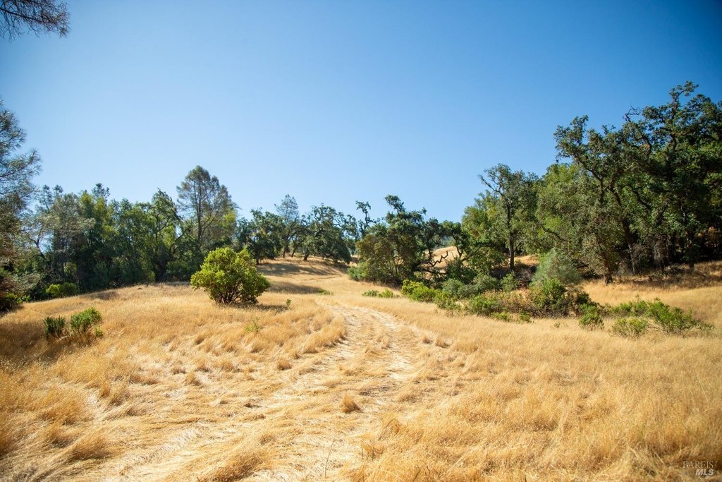 Cloverdale, California, 95425, United States, ,Land,Forsale,1929197