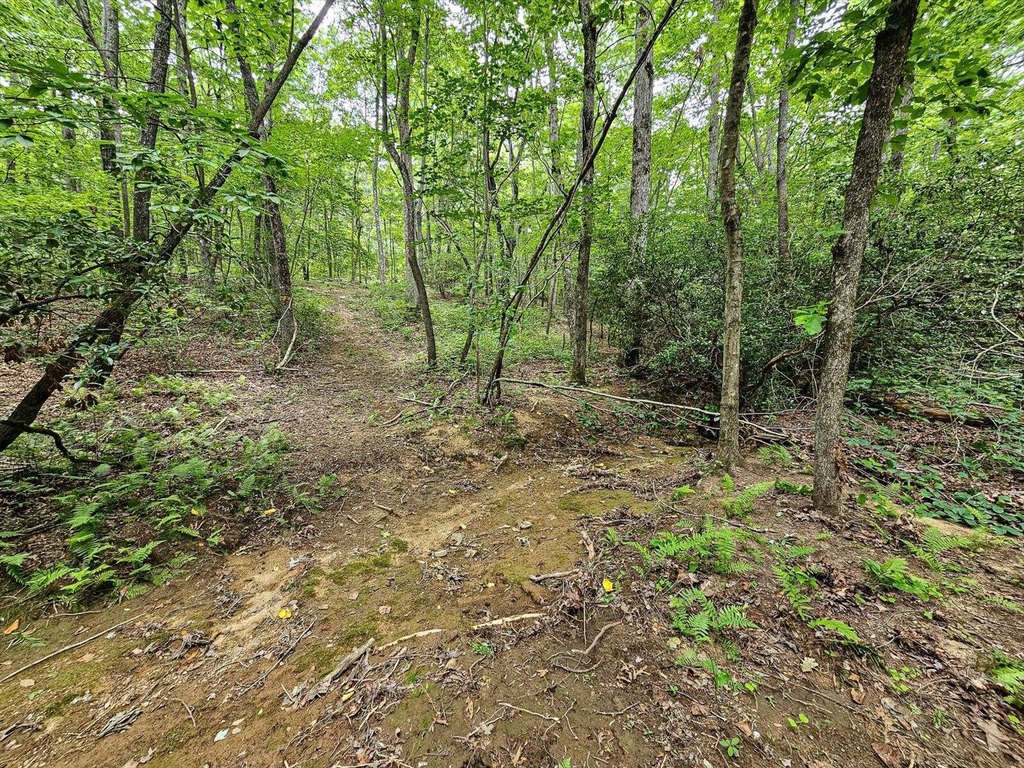 Menlo, Georgia, 30731, United States, ,Land,Forsale,1922179