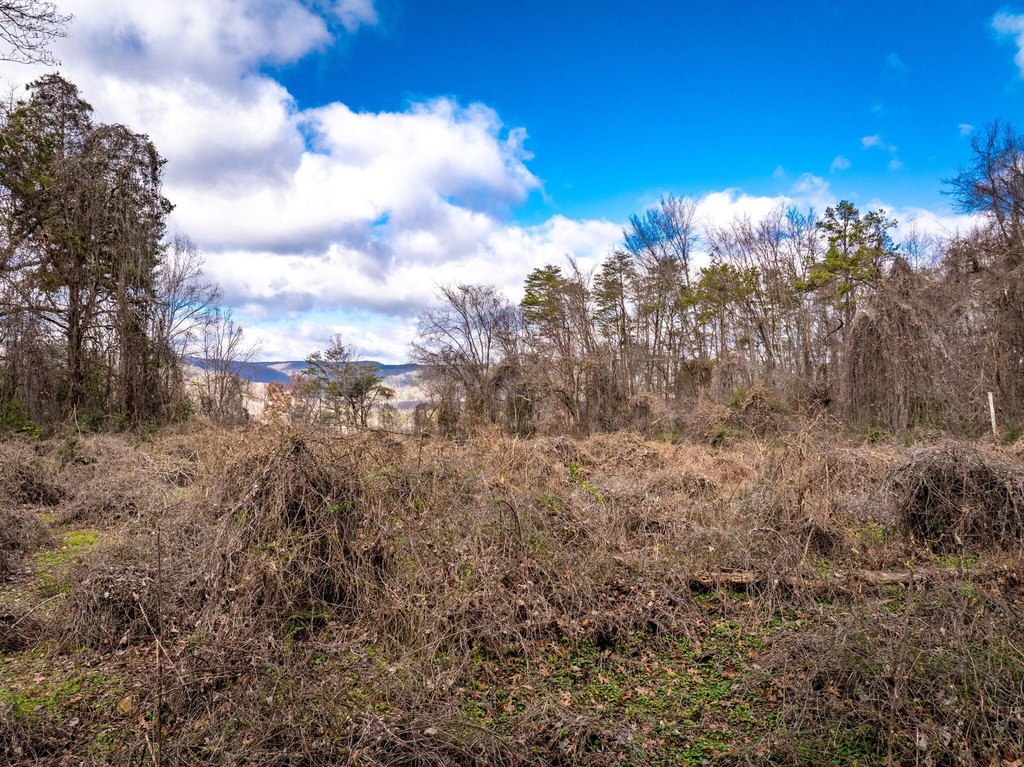 Dayton, Tennessee, 37321, United States, ,Land,Forsale,1894427