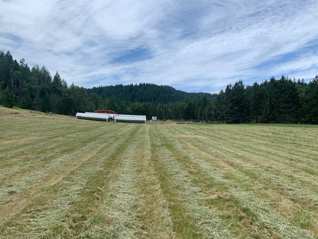 Willits, California, 95490, United States, 1 Bedroom Bedrooms, ,1 BathroomBathrooms,Residential,Forsale,1918960