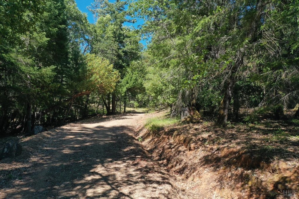 Willits, California, 95490, United States, ,Land,Forsale,1968155