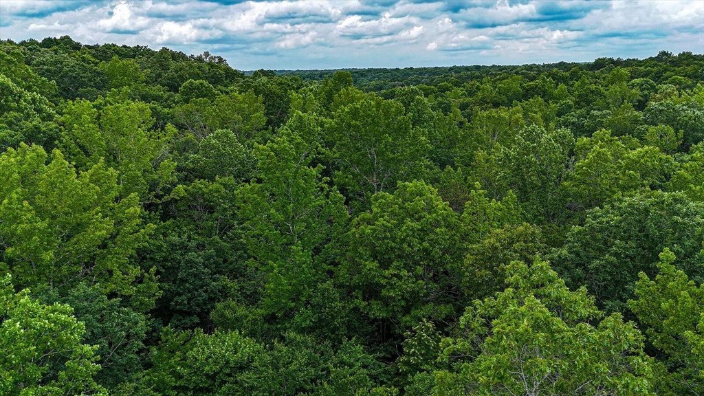 Menlo, Georgia, 30731, United States, ,Land,Forsale,1922179