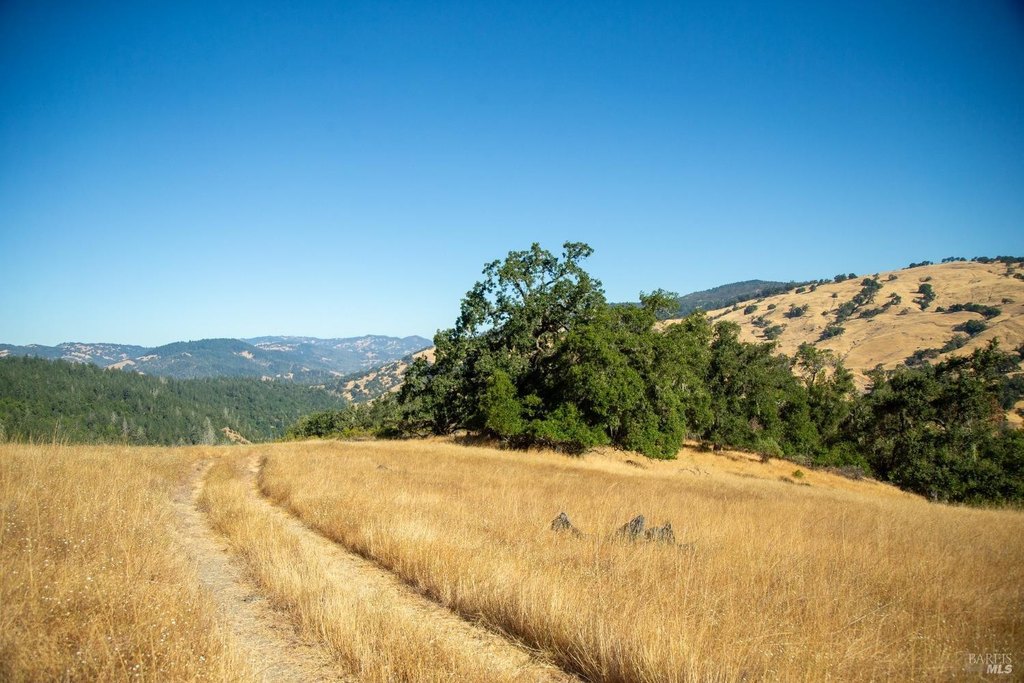 Cloverdale, California, 95425, United States, ,Land,Forsale,1929197