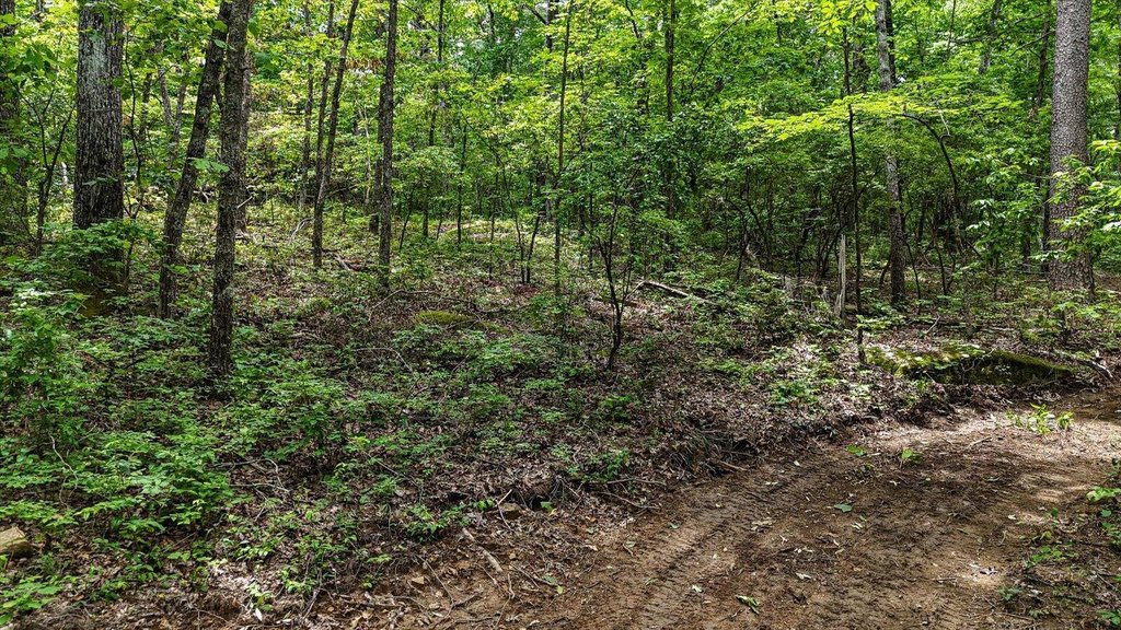 Menlo, Georgia, 30731, United States, ,Land,Forsale,1922179