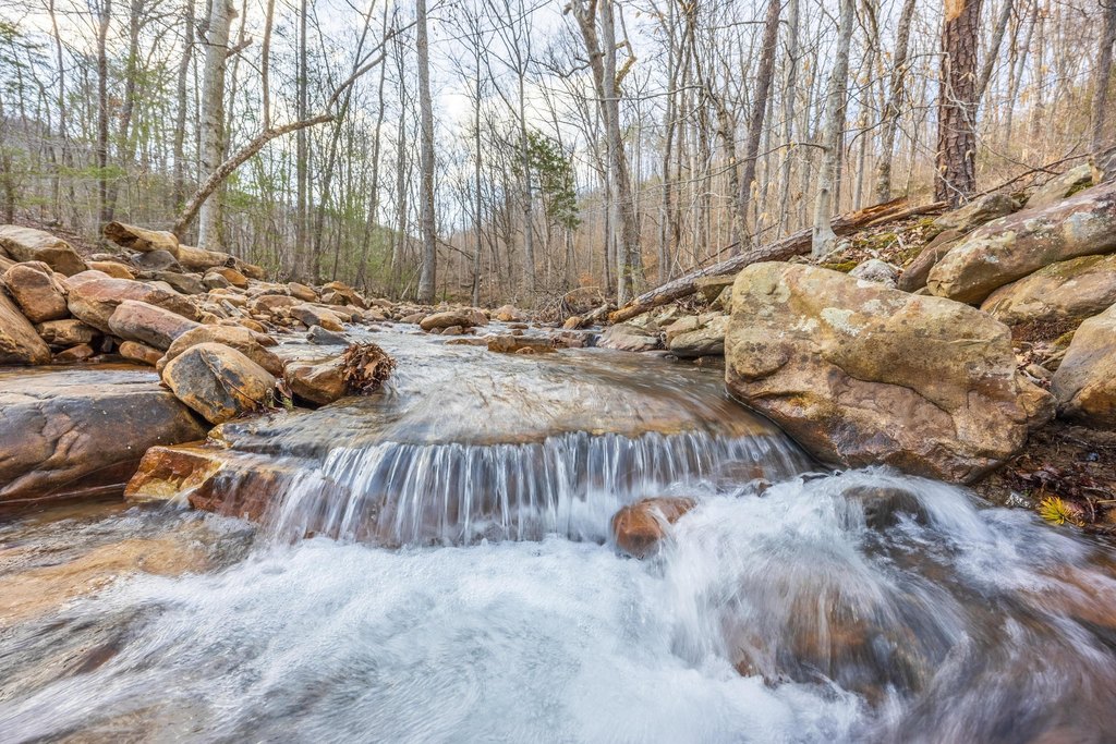Pikeville, Tennessee, 37367, United States, ,Land,Forsale,1922193