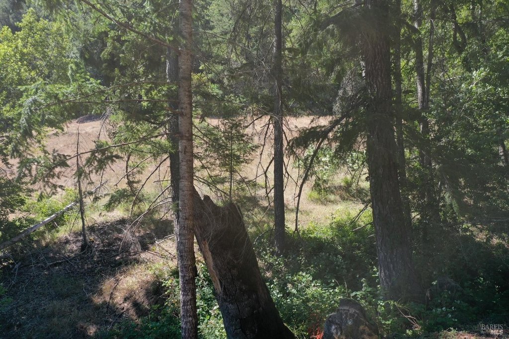 Willits, California, 95490, United States, ,Land,Forsale,1968155