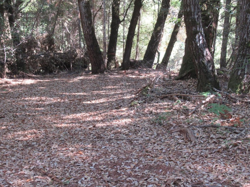 Willits, California, 95490, United States, ,Land,Forsale,1968155