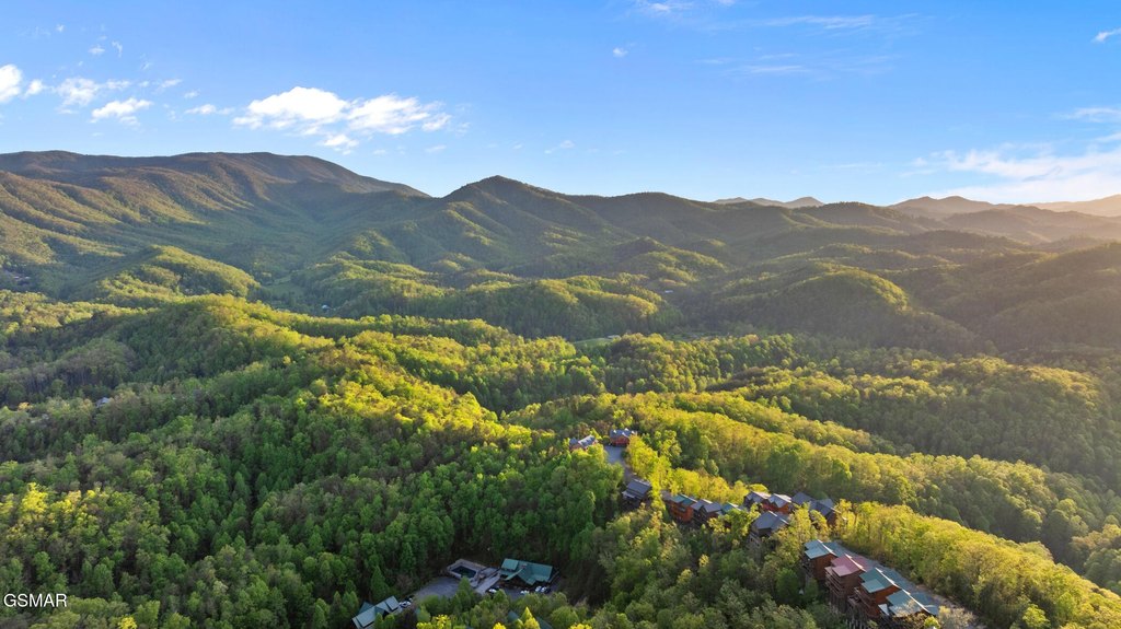 Pigeon Forge, Tennessee, 37863, United States, 12 Bedrooms Bedrooms, ,14 BathroomsBathrooms,Residential,Forsale,1942432
