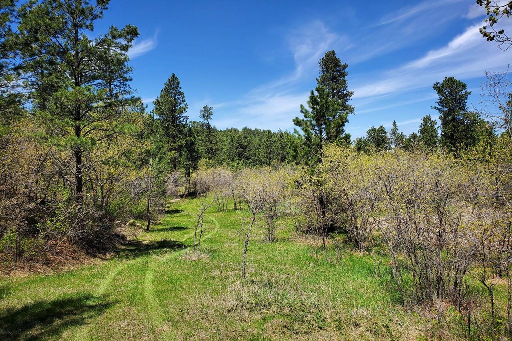 Devils Tower, Wyoming, 82714, United States, ,Land,Forsale,2004326