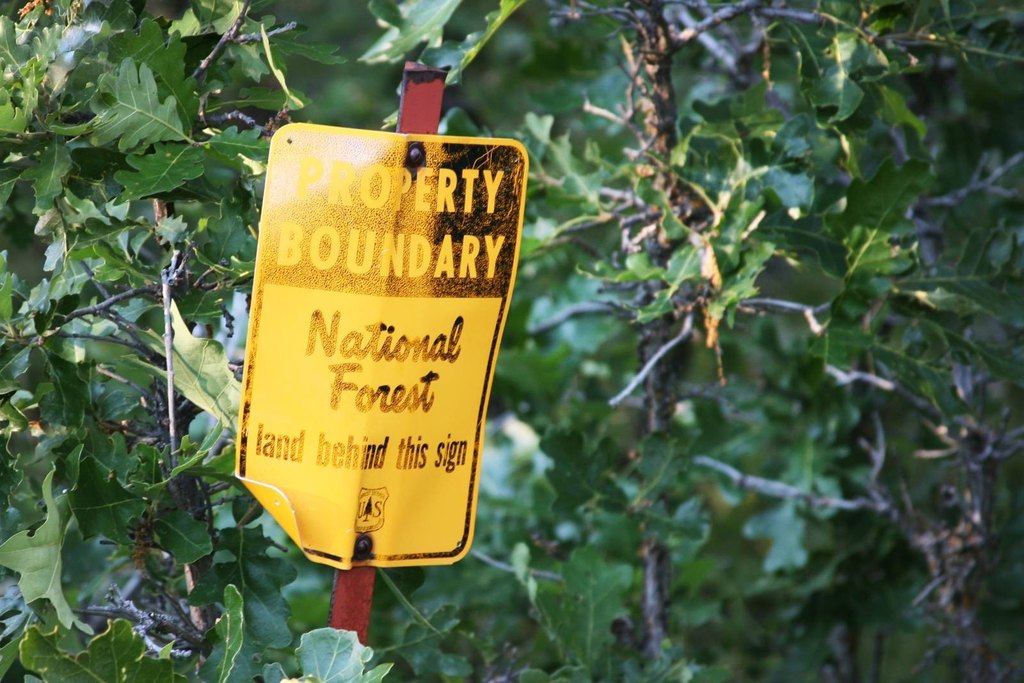 Devils Tower, Wyoming, 82714, United States, ,Land,Forsale,2004326