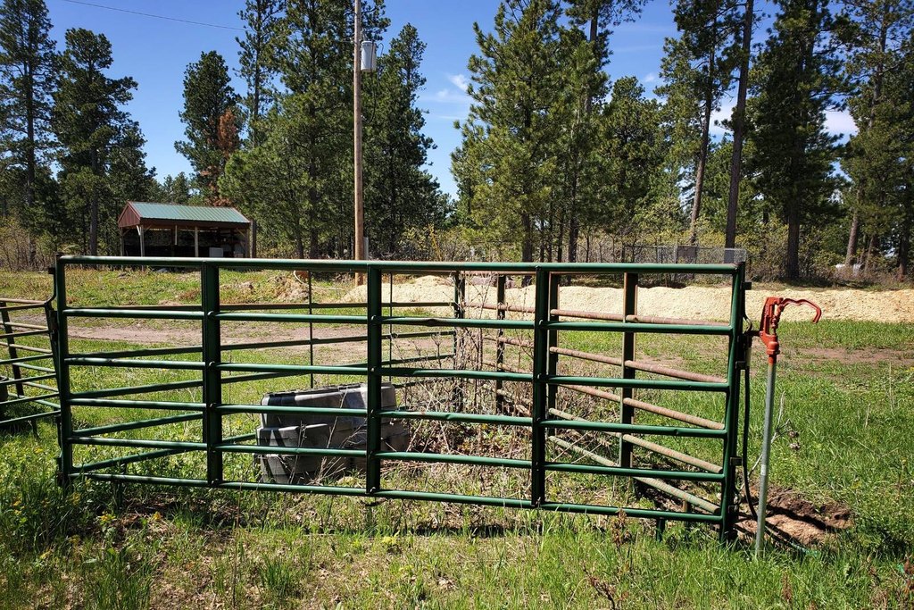 Devils Tower, Wyoming, 82714, United States, ,Land,Forsale,2004326