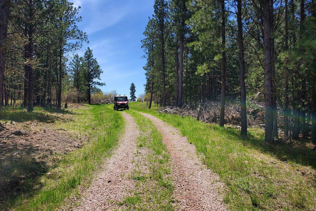 Devils Tower, Wyoming, 82714, United States, ,Land,Forsale,2004326
