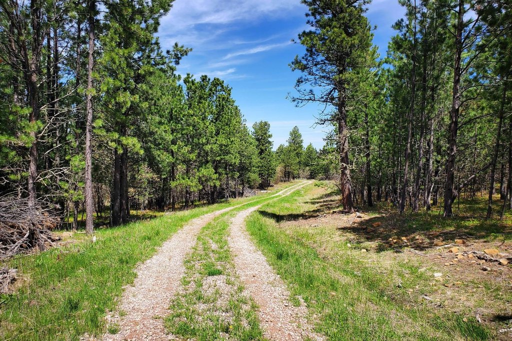 Devils Tower, Wyoming, 82714, United States, ,Land,Forsale,2004326