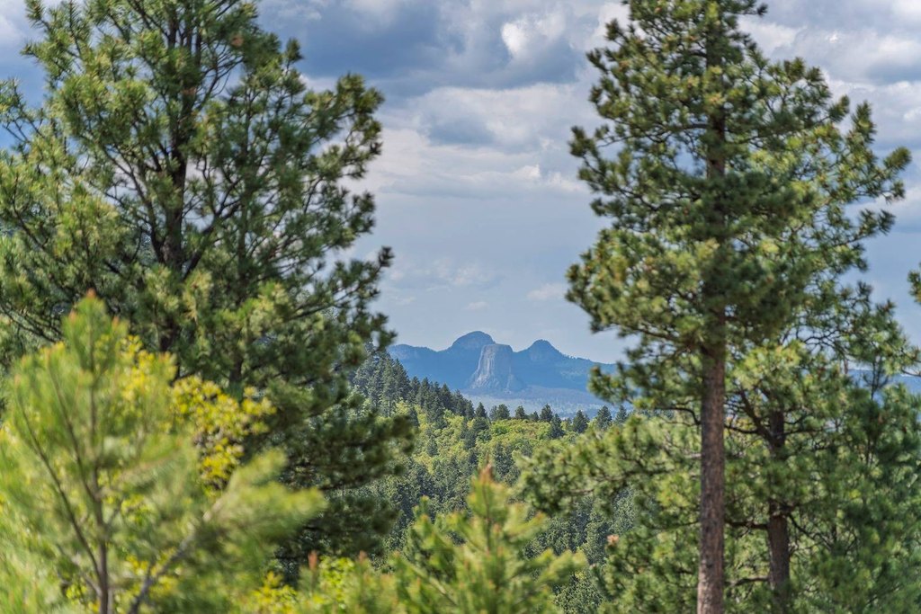 Devils Tower, Wyoming, 82714, United States, ,Land,Forsale,2004326