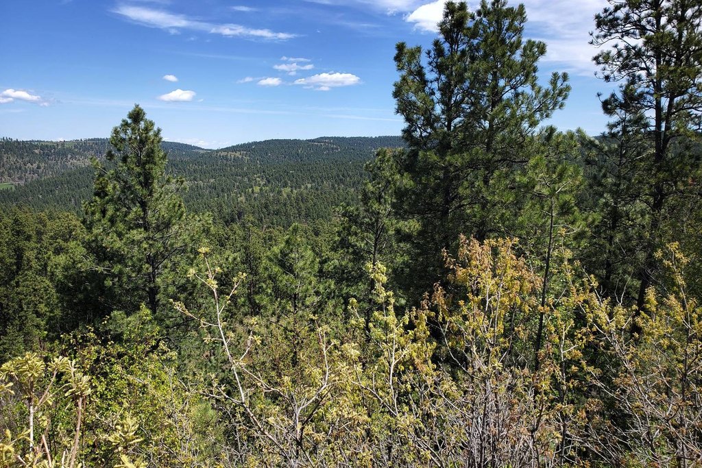 Devils Tower, Wyoming, 82714, United States, ,Land,Forsale,2004326