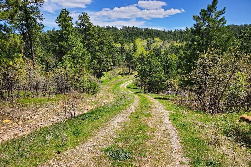 Devils Tower, Wyoming, 82714, United States, ,Land,Forsale,2004326