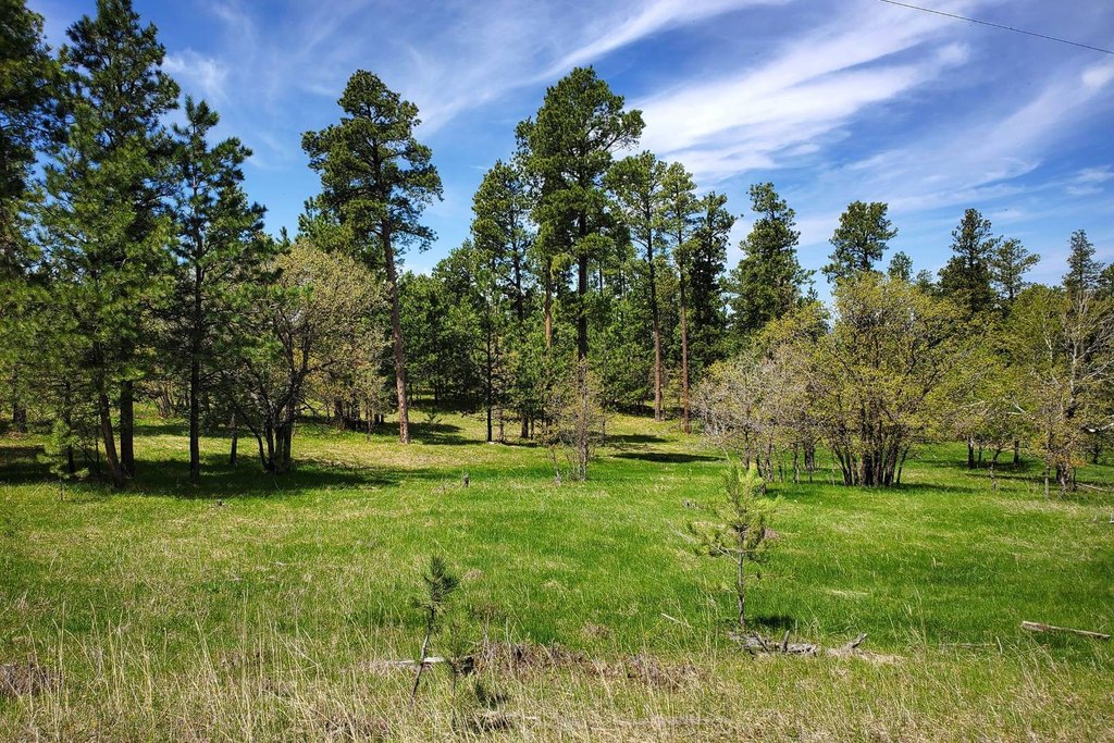 Devils Tower, Wyoming, 82714, United States, ,Land,Forsale,2004326
