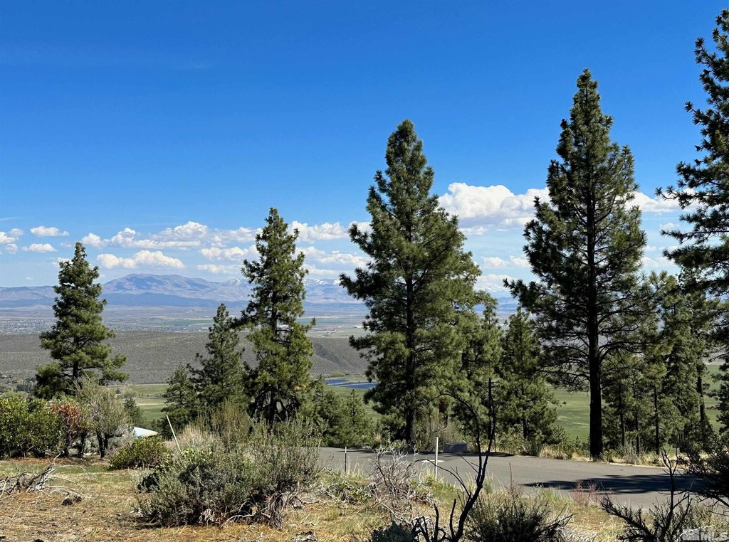 Carson City, Nevada, 89705, United States, ,Land,Forsale,1886464