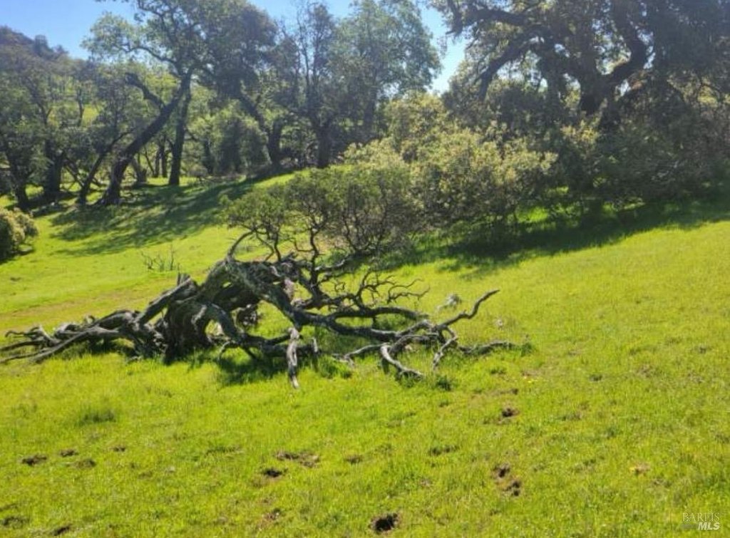 Geyserville, California, 95441, United States, ,Land,Forsale,1952094