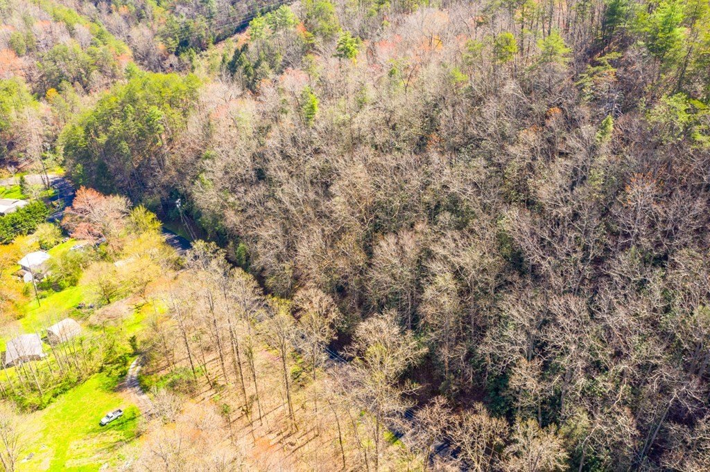 Pigeon Forge, Tennessee, 37863, United States, ,Commercial,Forsale,1893778