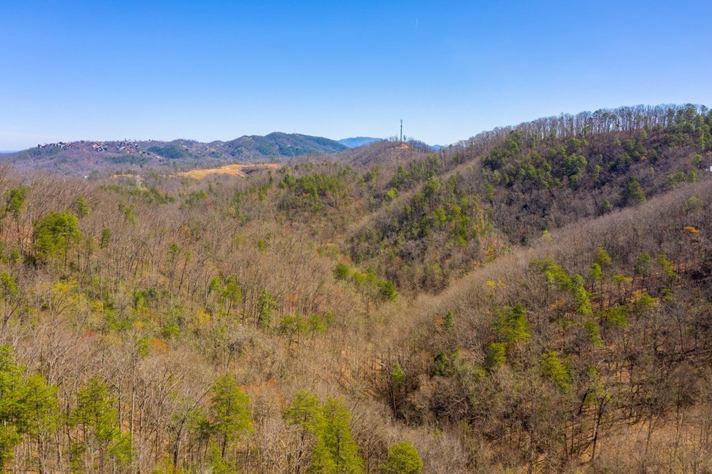 Pigeon Forge, Tennessee, 37863, United States, ,Commercial,Forsale,1893778