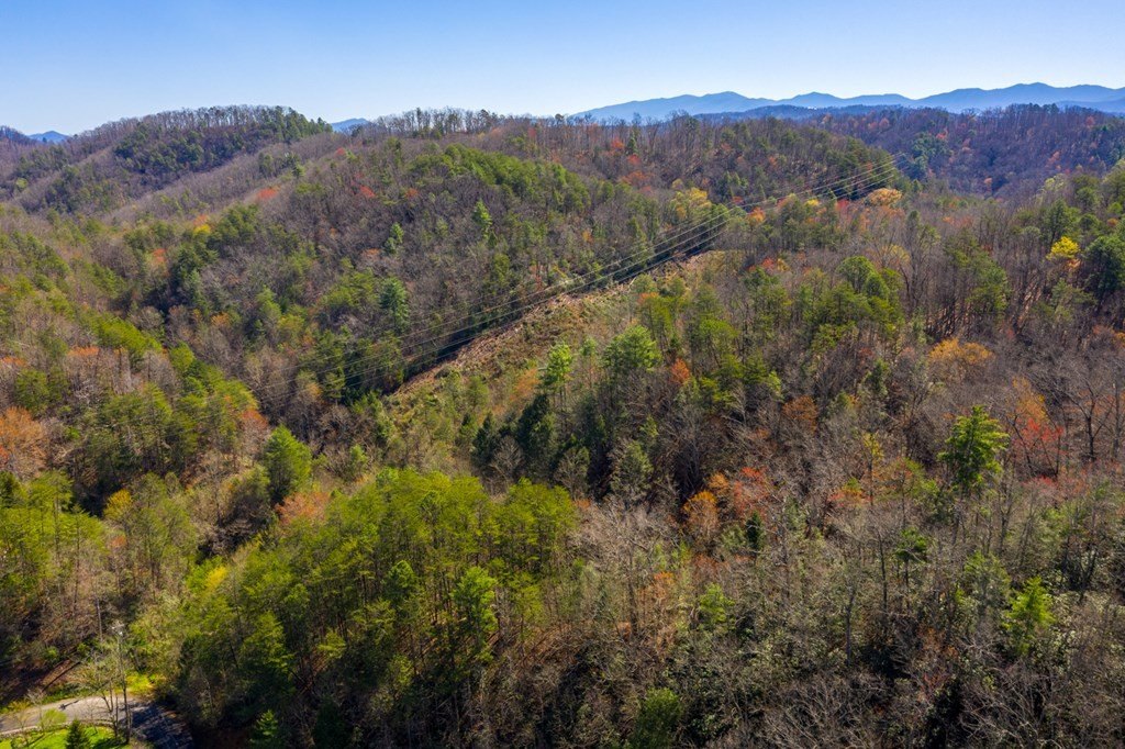 Pigeon Forge, Tennessee, 37863, United States, ,Commercial,Forsale,1893778